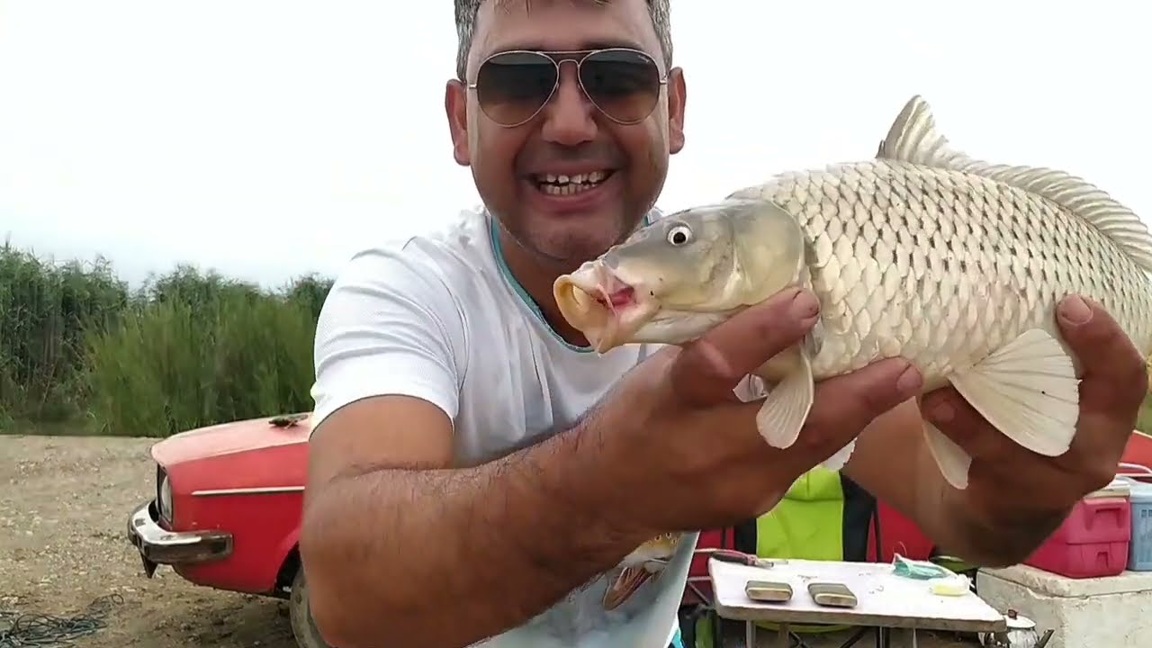 küçük derede 18 kg balık yakaladık sazan avı carp fishing 😉