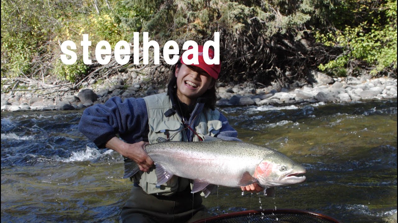 女子がバビーンリバーで スティールヘッド　Babine River Steelhead