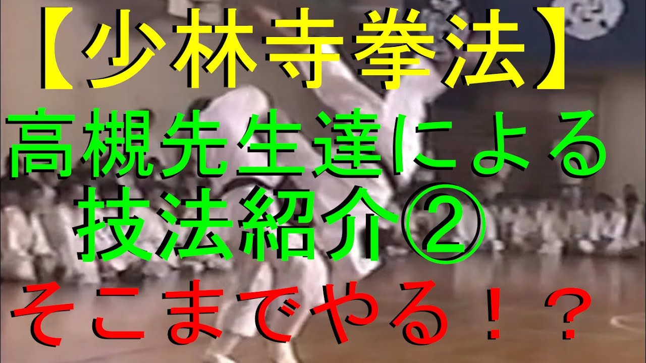 【少林寺拳法 】 高槻先生達による技法紹介②！！そこまでやる！？マジでエグすぎる！！