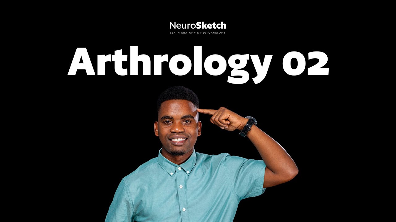 Arthrology Part 2: Synovial Joints Explained