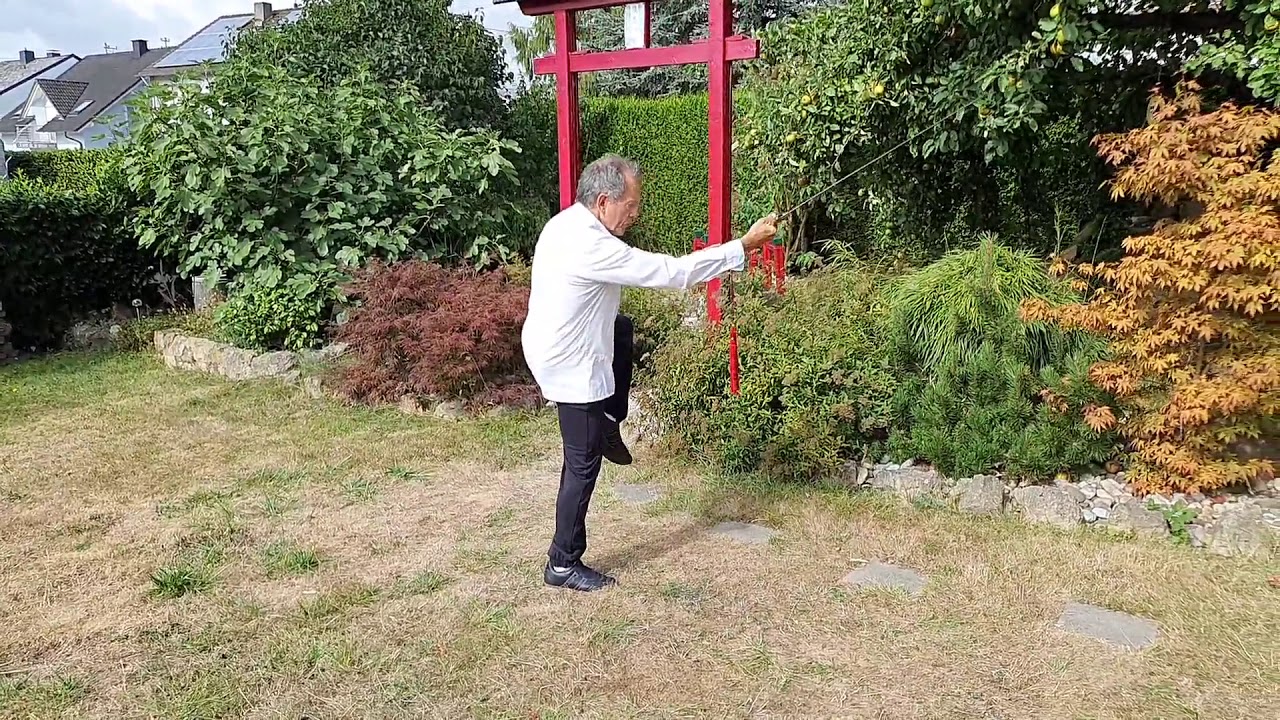Schwertforn n. Chen Wei Ming