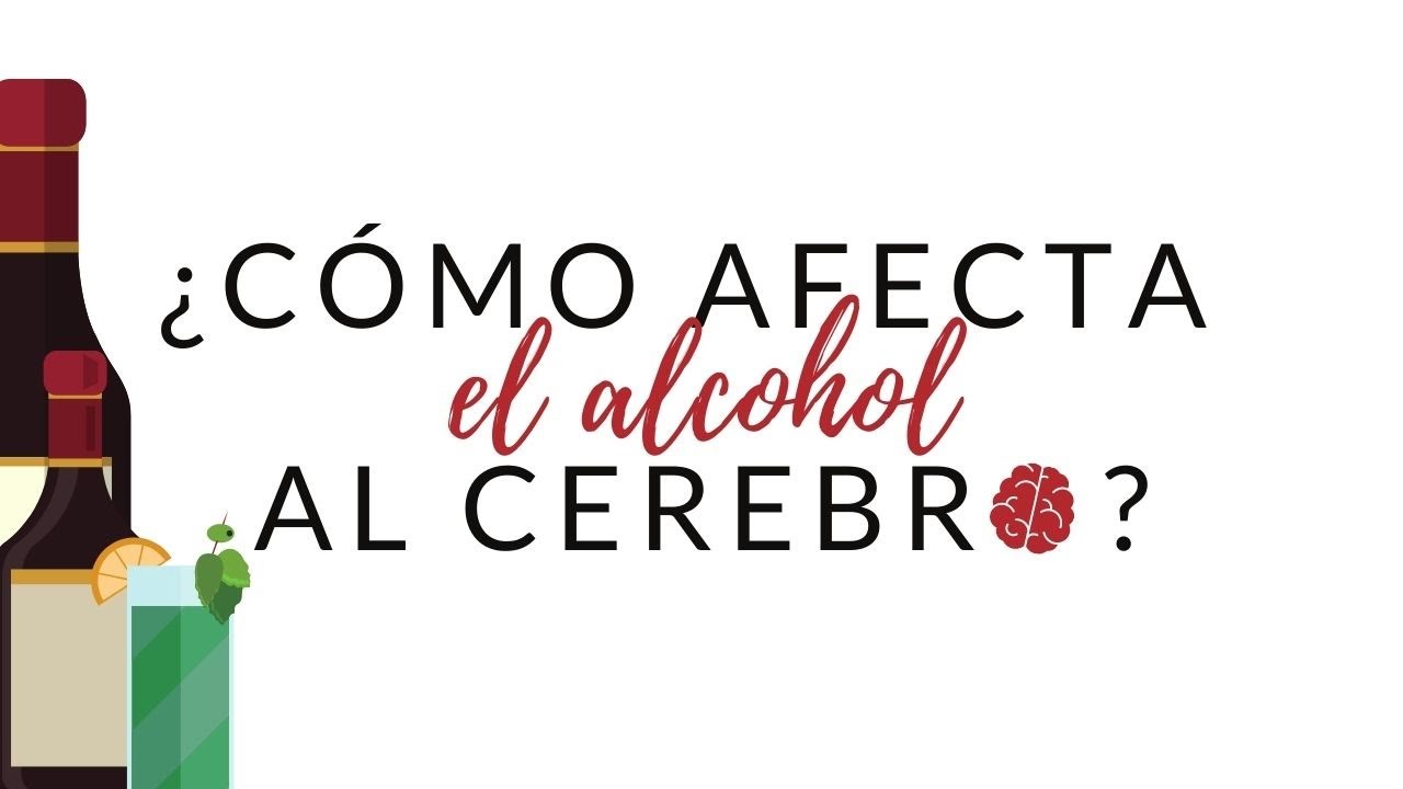 C&Oacute;MO AFECTA EL ALCOHOL AL CEREBRO