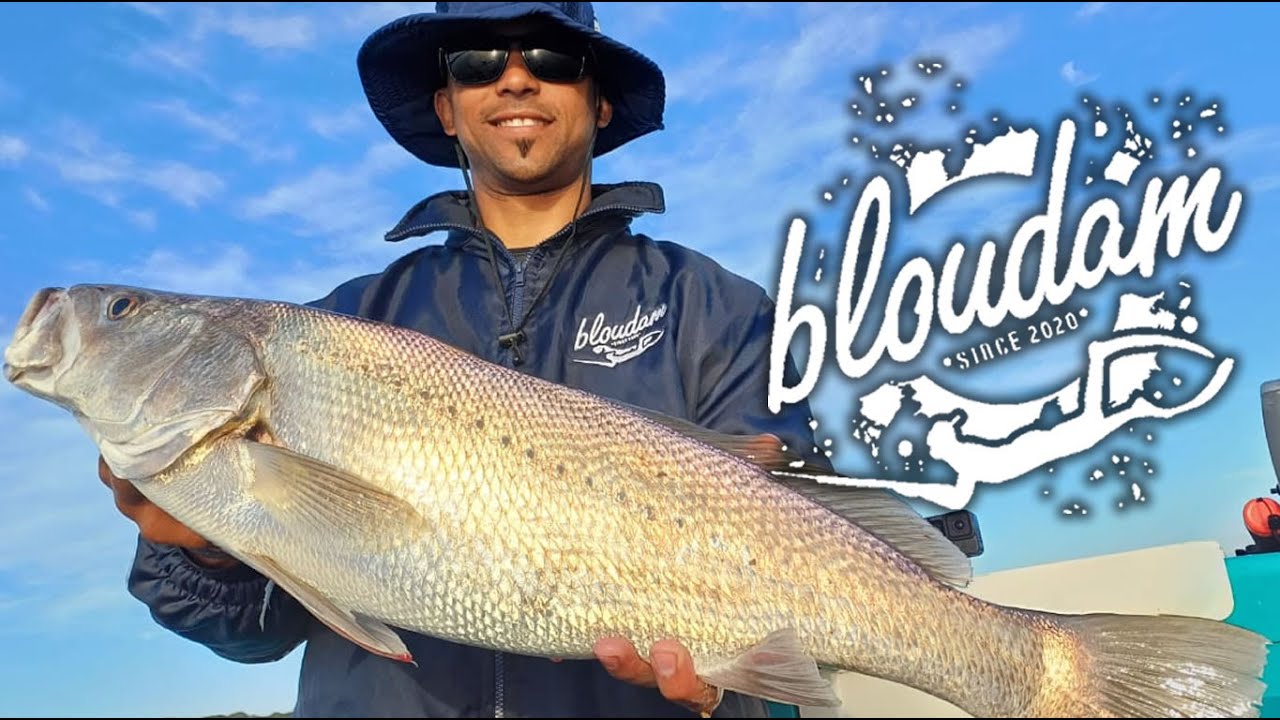 LIVE BAIT FISHING FOR KOB