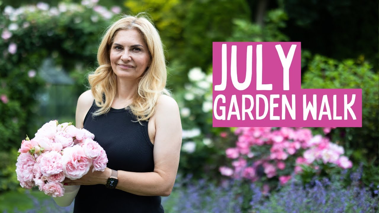 🌸 Garden Tour | June 2025 | Roses, Clematis, Perennials in Full Bloom! 🌿