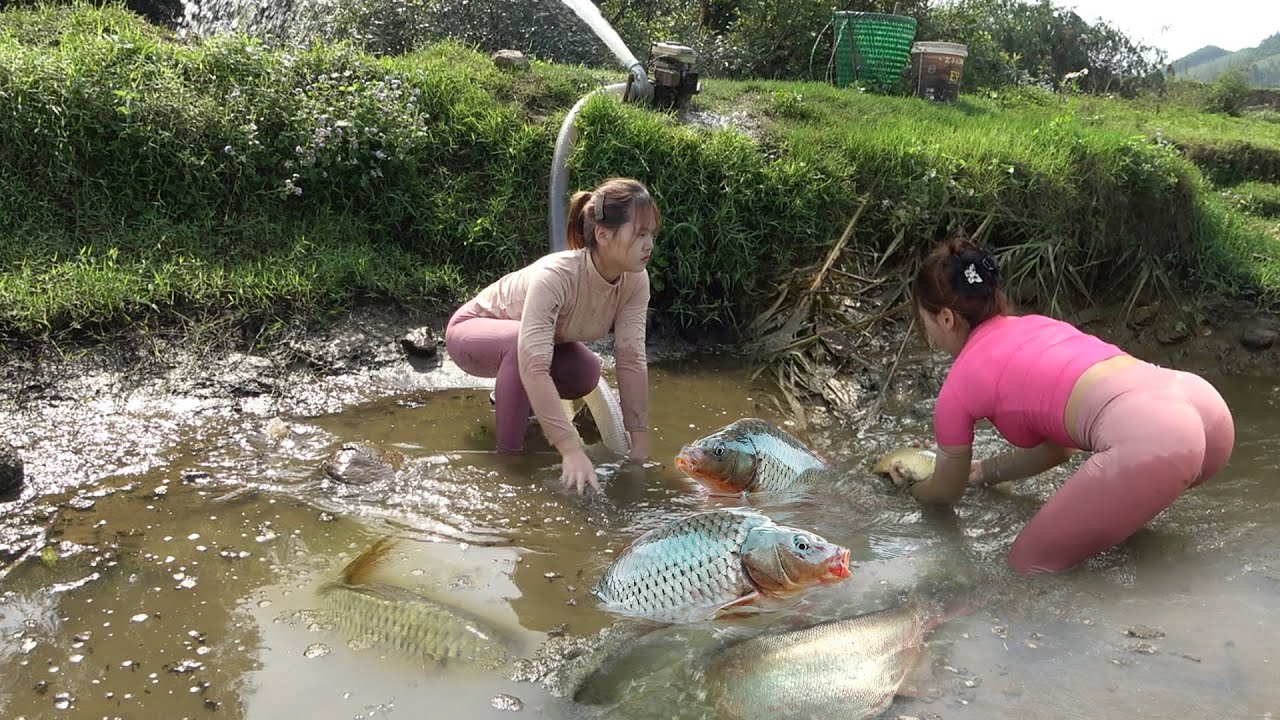 Young Girl's Fishing on Rivers and Lakes, Traditional Fishing with Net, Catch a Lots of Fish