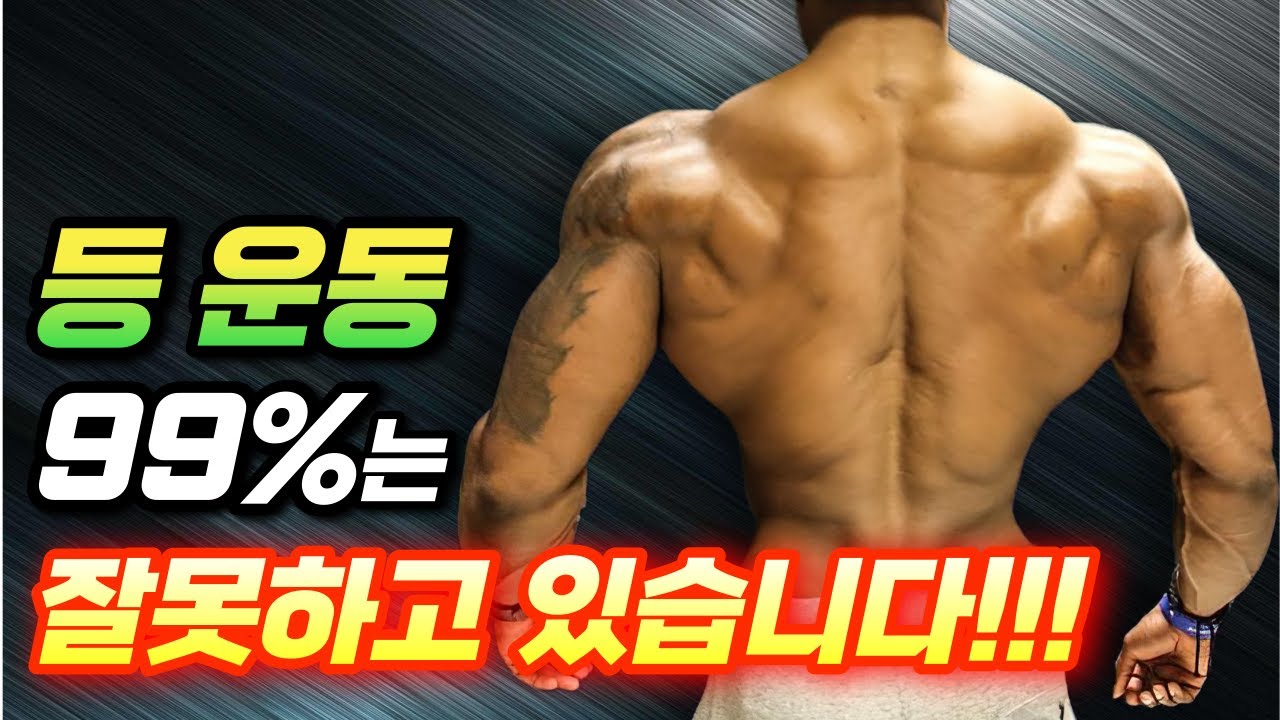 등운동은 이대로 하세요. 그래야 등 상부와 광배근이 커집니다. (등 운동 루틴, 등 운동 방법)