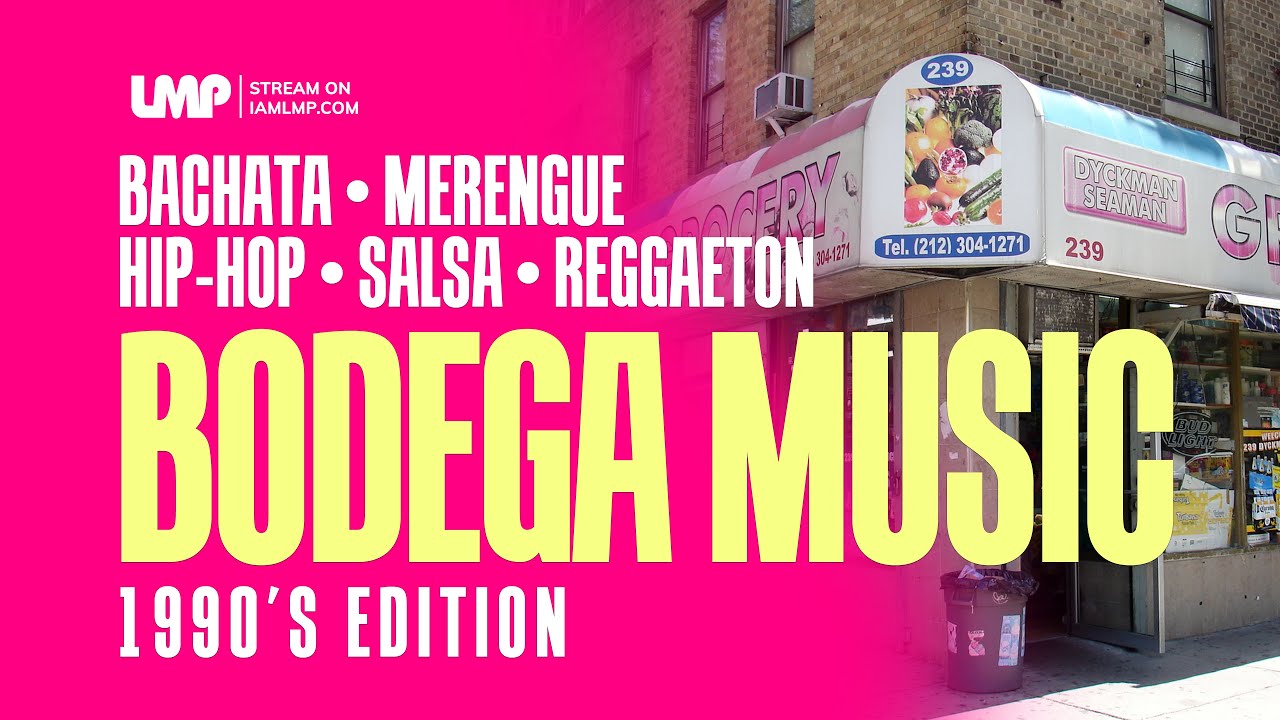 Party Mix : 90's Classics (Bachata, Merengue, Hip-Hop, Salsa, Reggaeton) Part 3 | DJ Flow