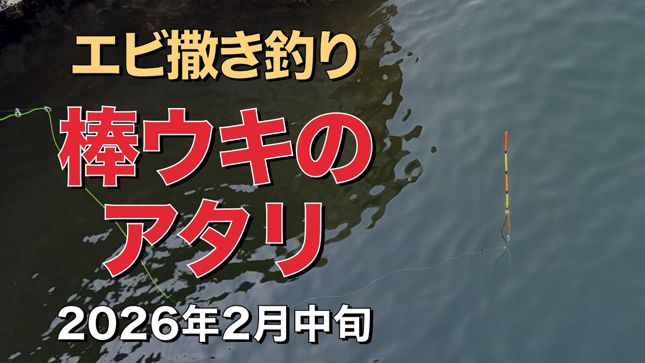 2026年2月中旬 棒ウキのアタリ集エビ撒き釣り