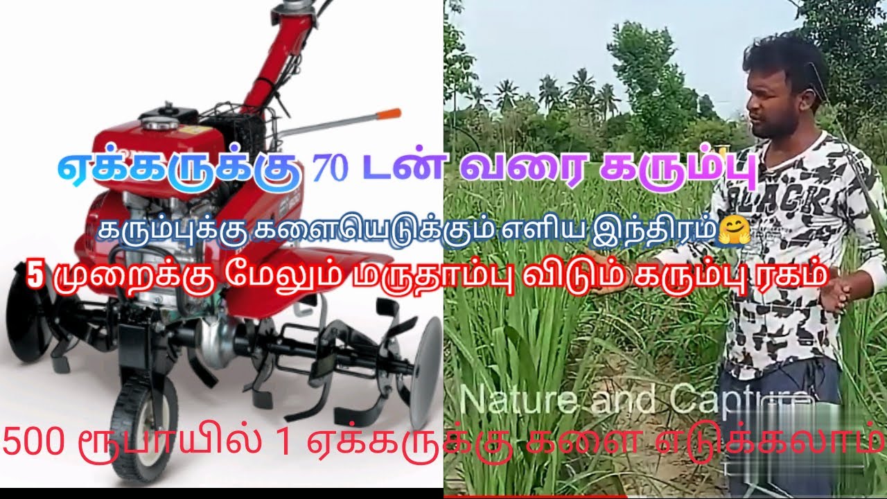 how to farm sugarcane | ஒரு ஏக்கருக்கு 70 டன் கரும்பு | நான்கு முறைக்கு மேலும் வளரும் கரும்பு ரகம்