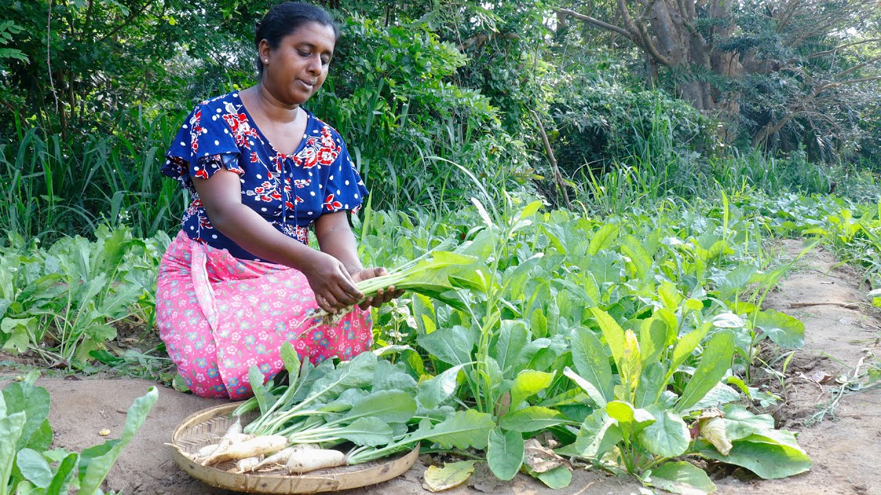 Special stir fried radish from radish harvested from my farm. .village kitchen recipe