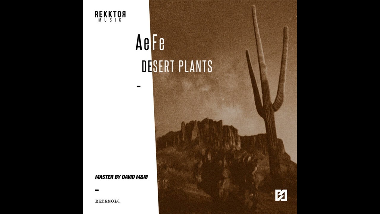 AeFe - Gossypium [Rekktor Music]