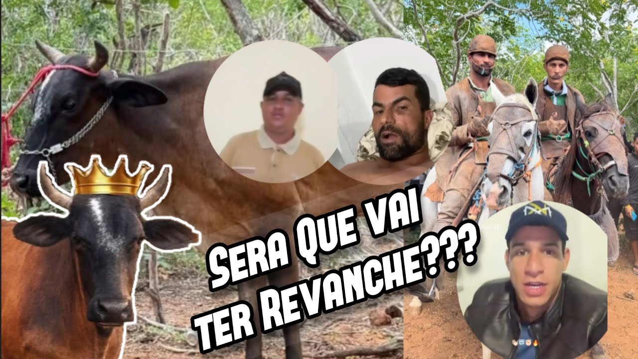 Sera que sai a Revanche da Corrida da Vaca Lindinha,  Vaqueiros Pavão & Ruan 