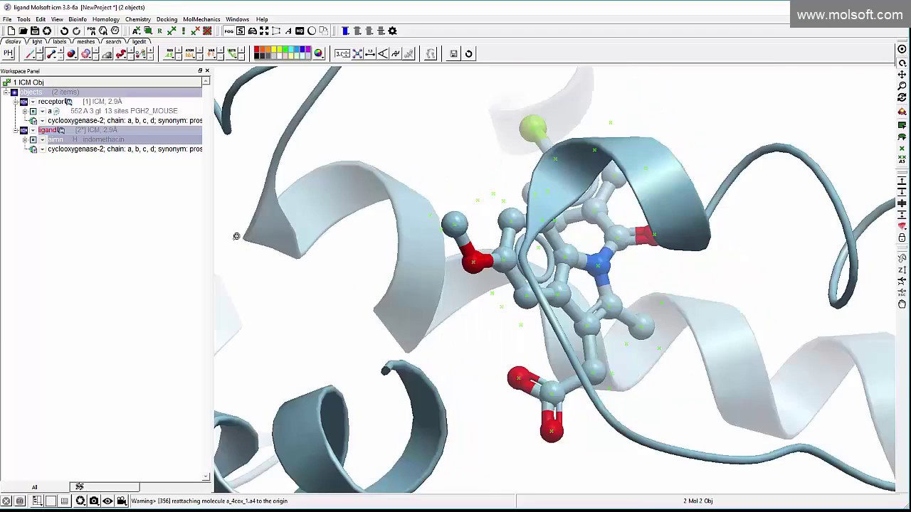 Ligand Docking with MolSoft's ICM-Pro Desktop Modeling Software