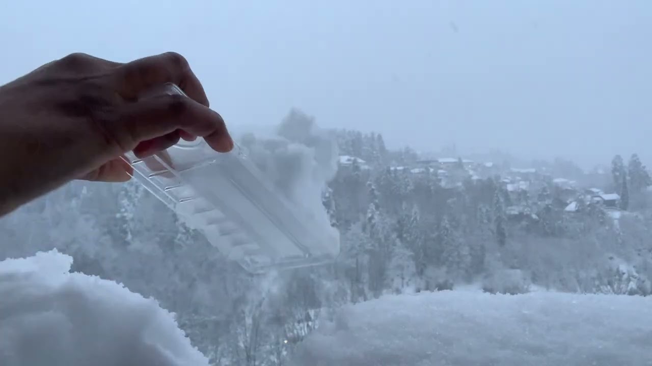 Relaxing snowfall ❄️ sound | live snowfall | #asmr #coldcountry #norwaysnow