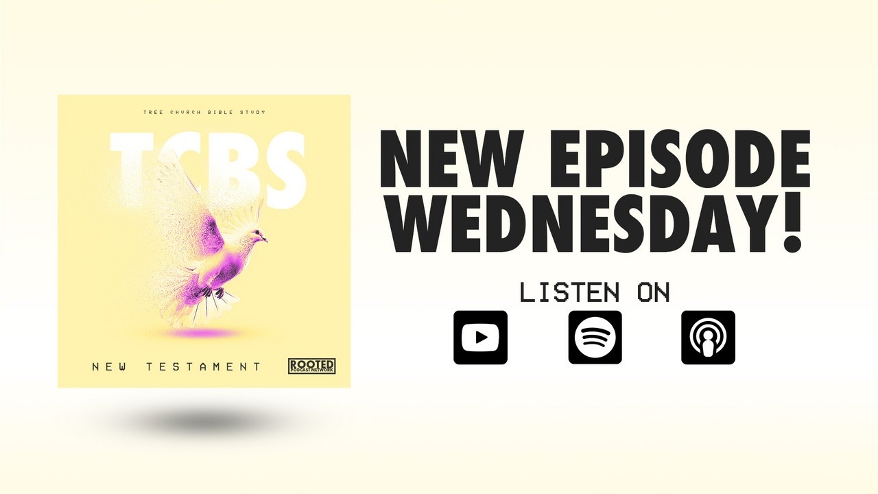 Acts 27: 21-26 | Paul's Advice Ignored | TCBS