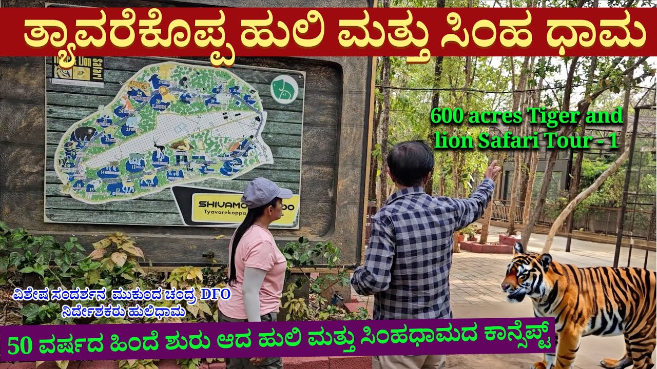 600 ಎಕ್ರೆ 50 ವರ್ಷದ ಹಳೆಯ ಶಿವಮೊಗ್ಗದ ತ್ಯಾವರೆಕೊಪ್ಪ ಹುಲಿ ಮತ್ತು ಸಿಂಹಧಾಮ-Nandini-Shivamogga Zoo & Safari-1