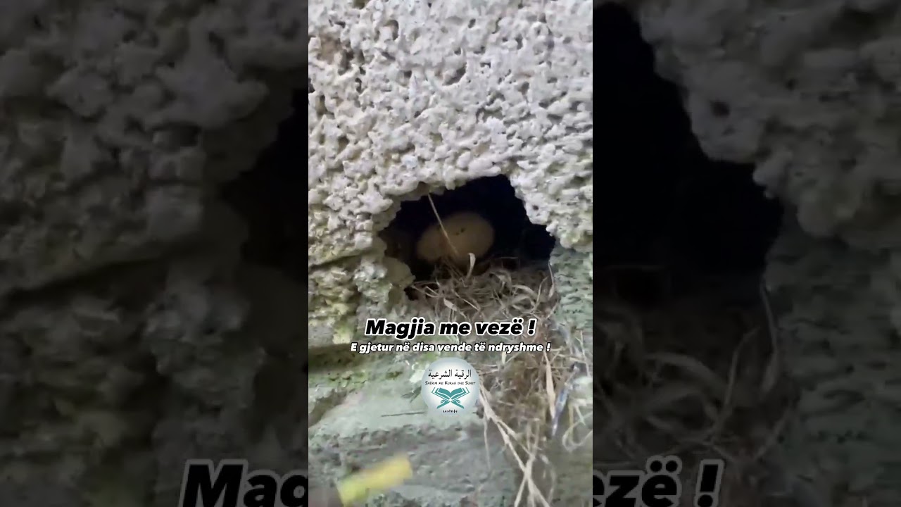 Magjia me vez&euml; !