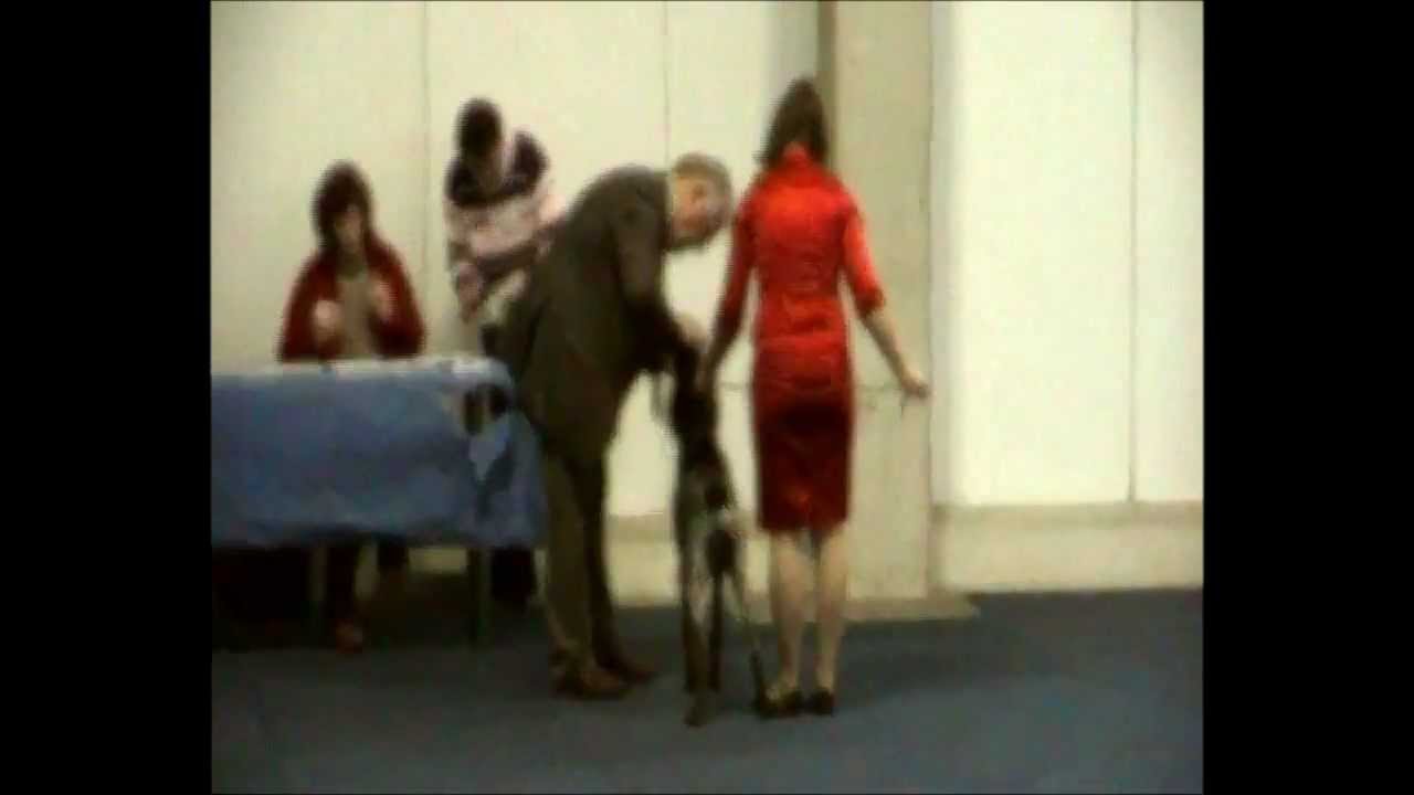 BIYALI Keiviento.wmv