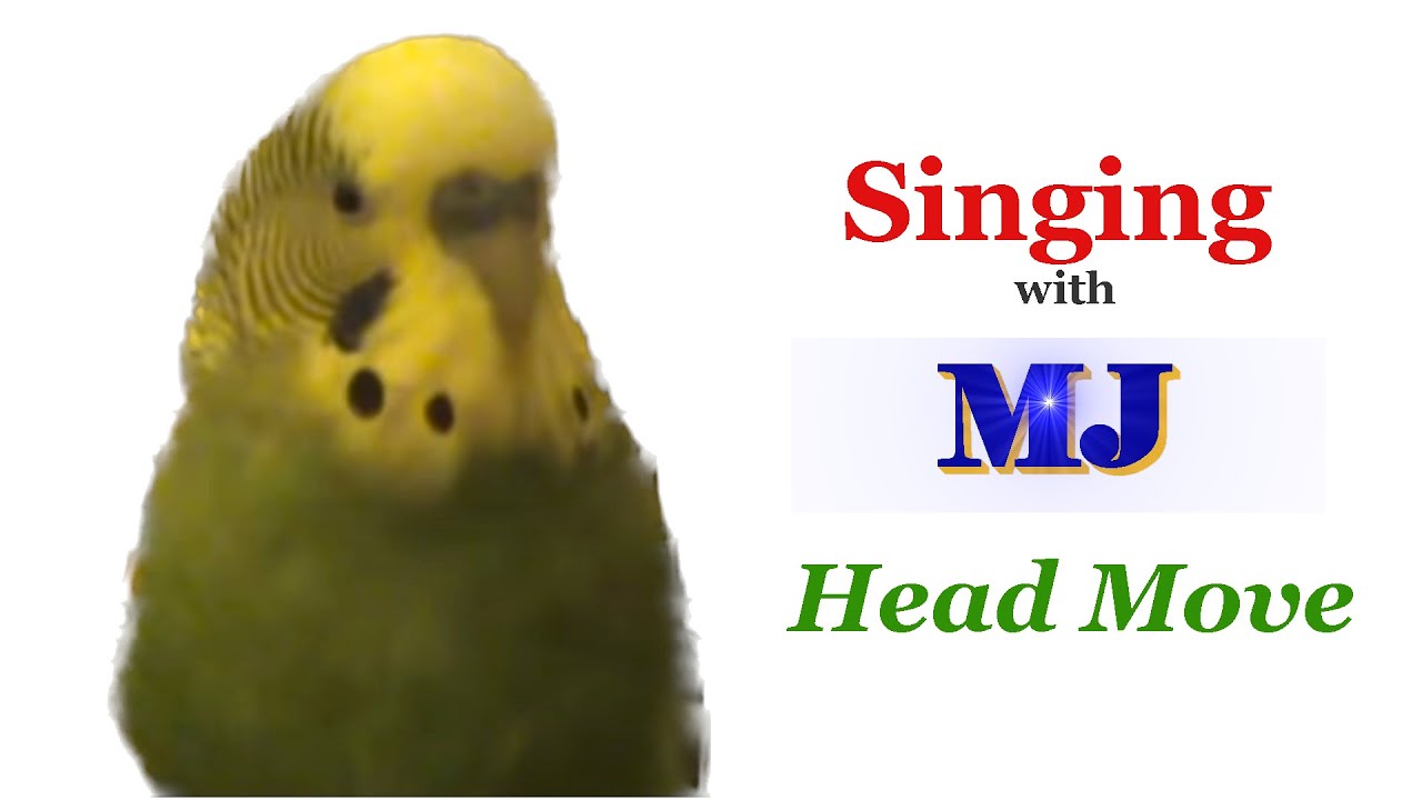 Green Bob the budgie singing with MJ's move