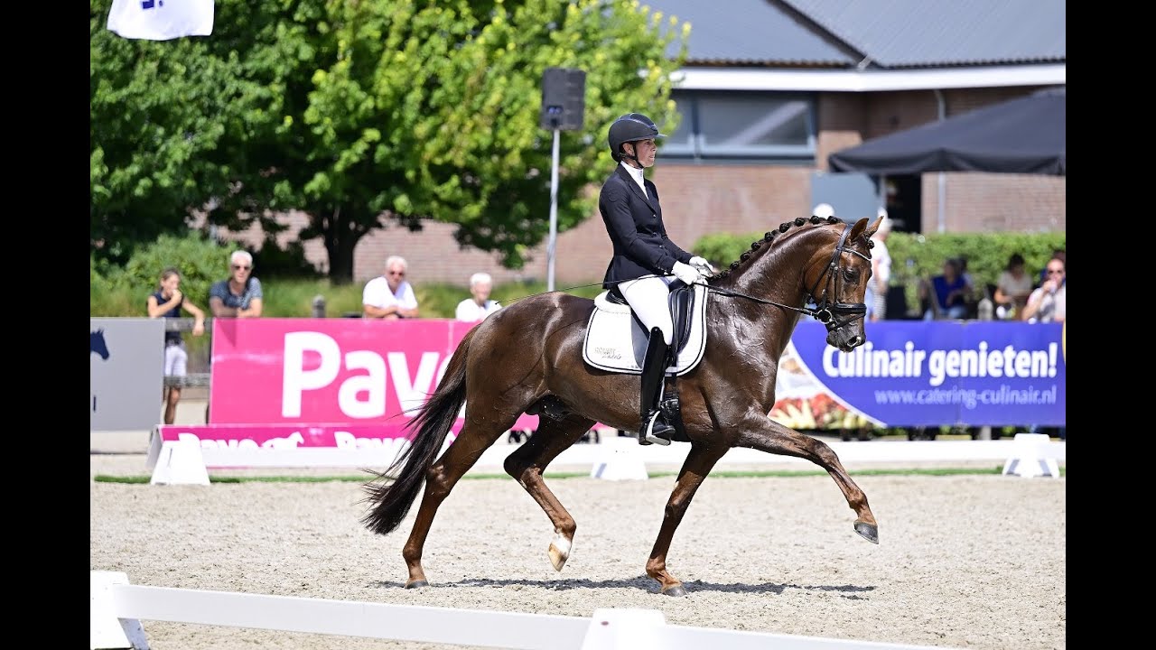 Dutch Dream pavo 2022  3'rd, galop part.