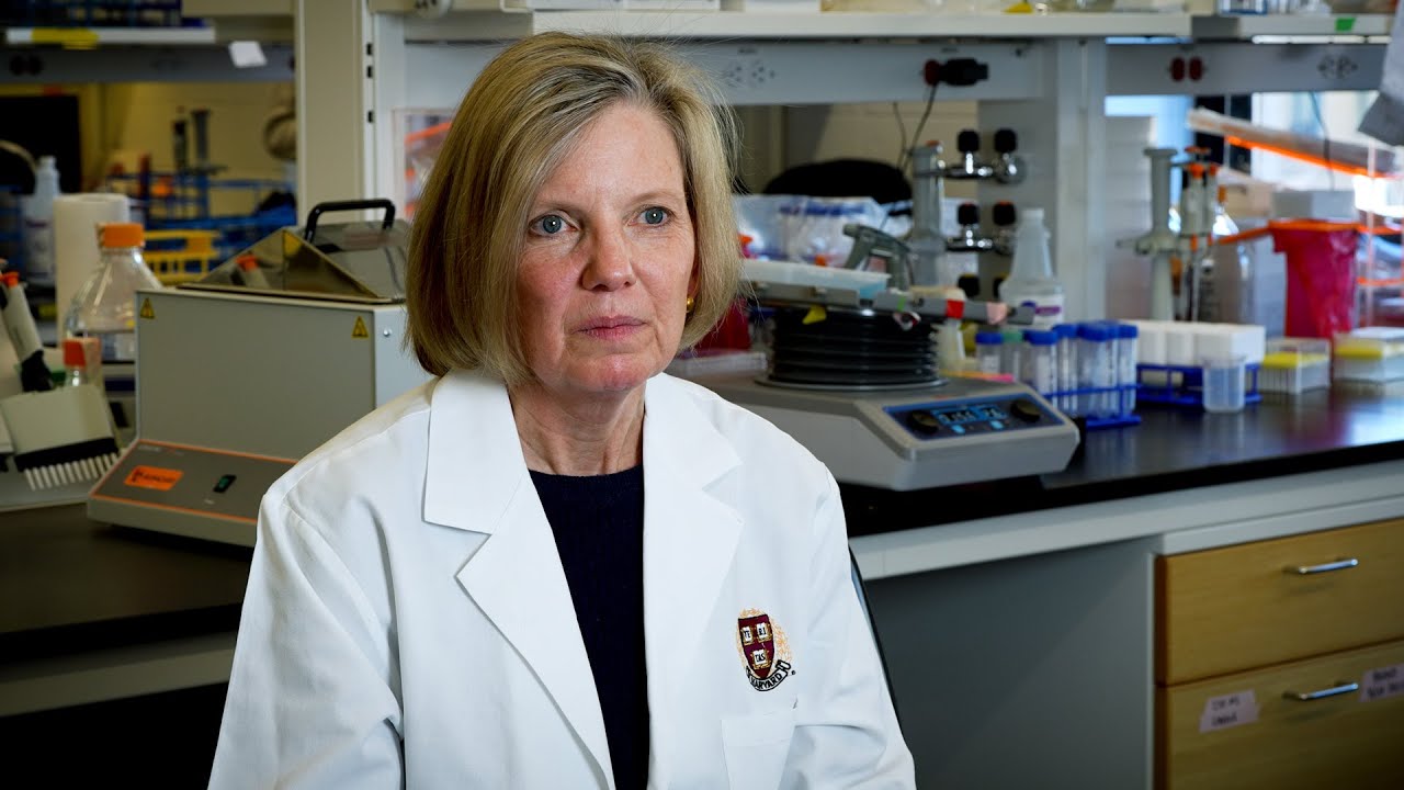 &ldquo;You can't pick out parts of the web&rdquo; | Sarah Fortune on importance of federal funding for science