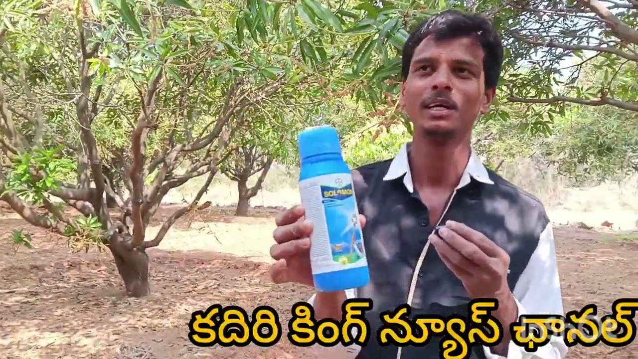 హాయ్ ఫ్రెండ్స్ కుటాగుళఈరోజు మనము కుదర గ్రామంలో మామిడి చెట్లకు పోతా వచ్చింది పూత వచ్చిన తర్వాత దోదమలు