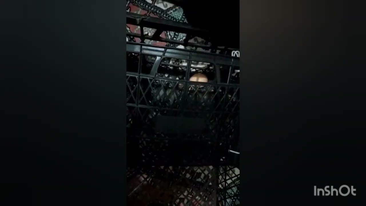 kasadan akıllı folluk yapımı