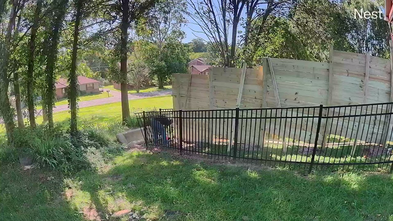 The Moment the Fence Went Down