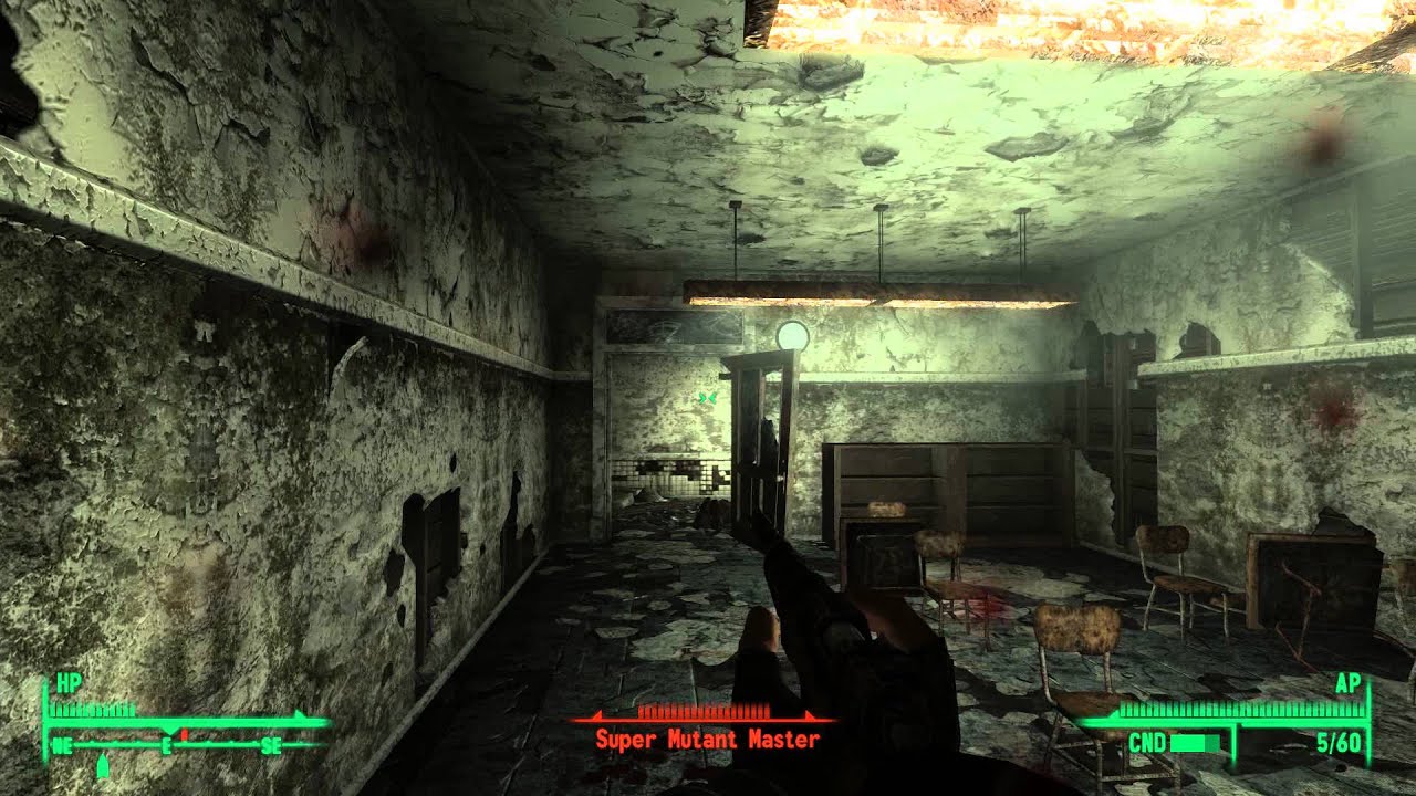 Fallout 3 + tons of mods + iron sights