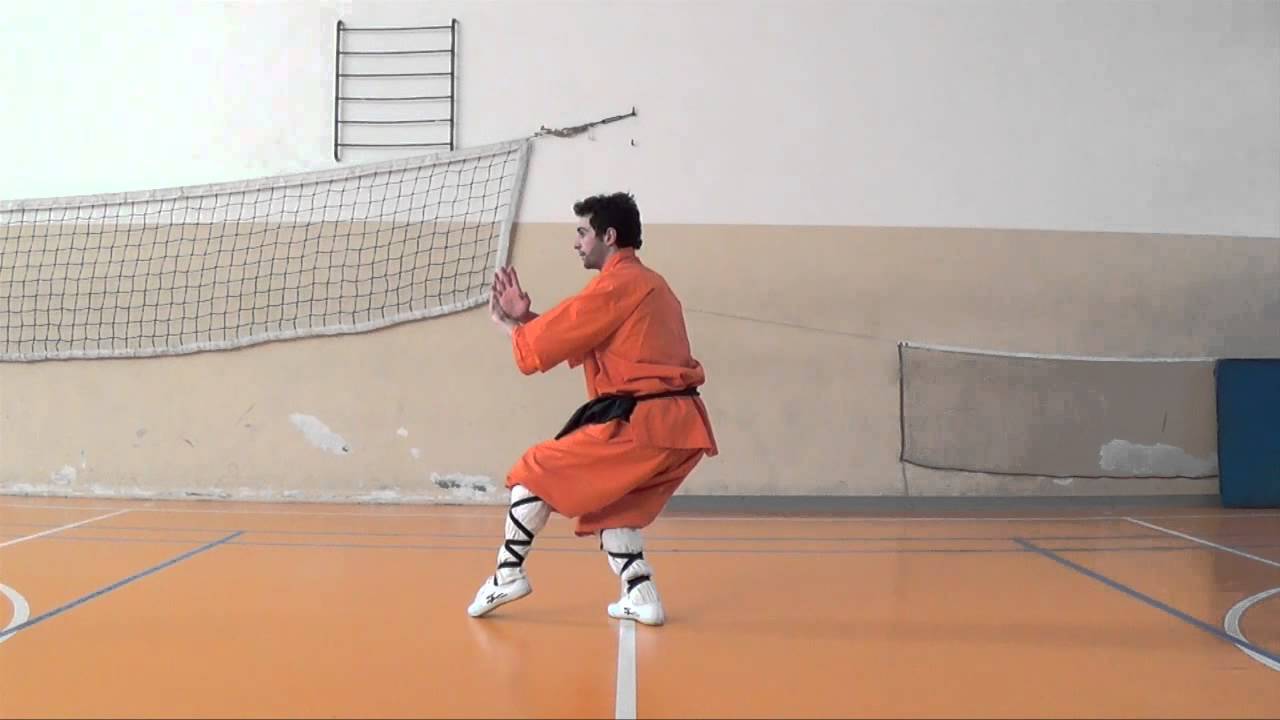 Shaolin tong bei quan 通背拳