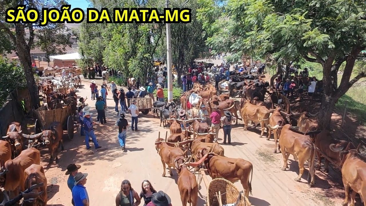 A CONCENTRAÇÃO DOS CARREIROS NO CENTRO DA CIDADE