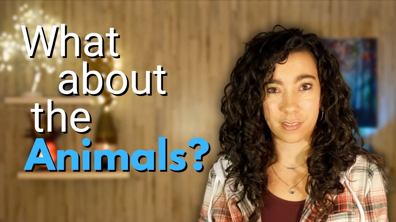 How Can God Allow Innocent Beings to Suffer so Much?