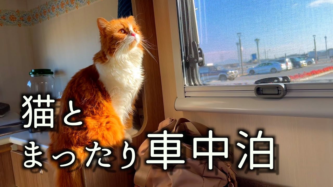 【キャンピングカーで車中泊】近場の道の駅でまったりしてきました／グランテラス筑西
