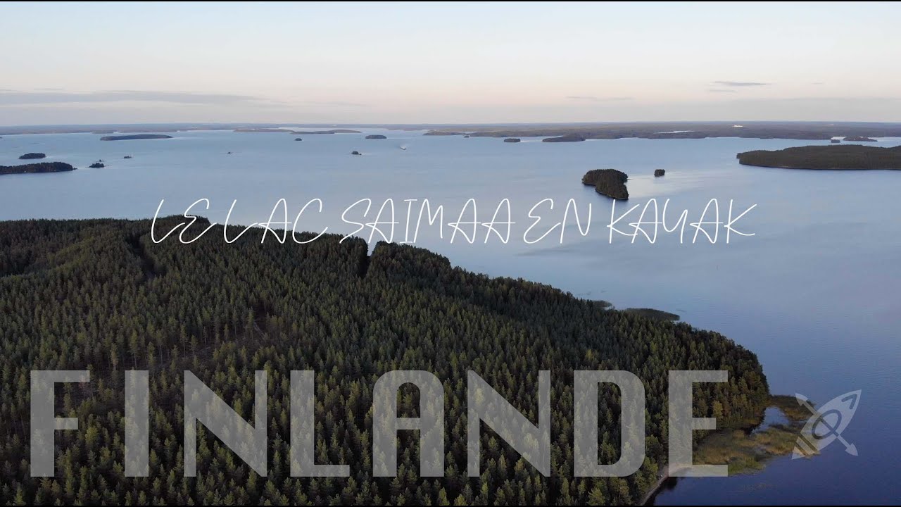 Mais où sont les phoques du lac Saimaa ?