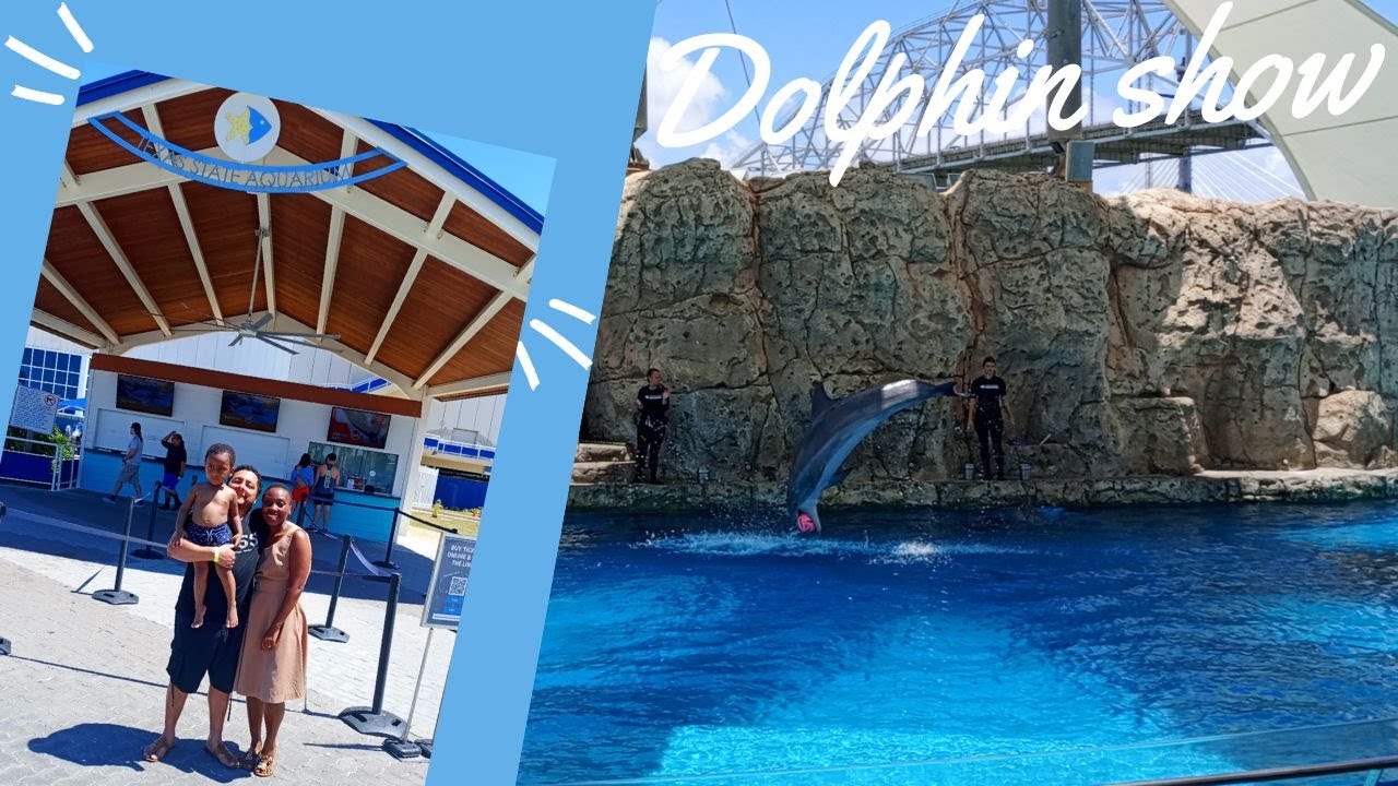 A WEEKEND IN OUR LIFE IN TEXAS USA// DOLPHIN DANCING SHOW//TEXAS STATE AQUARIUM #familytime #fyp