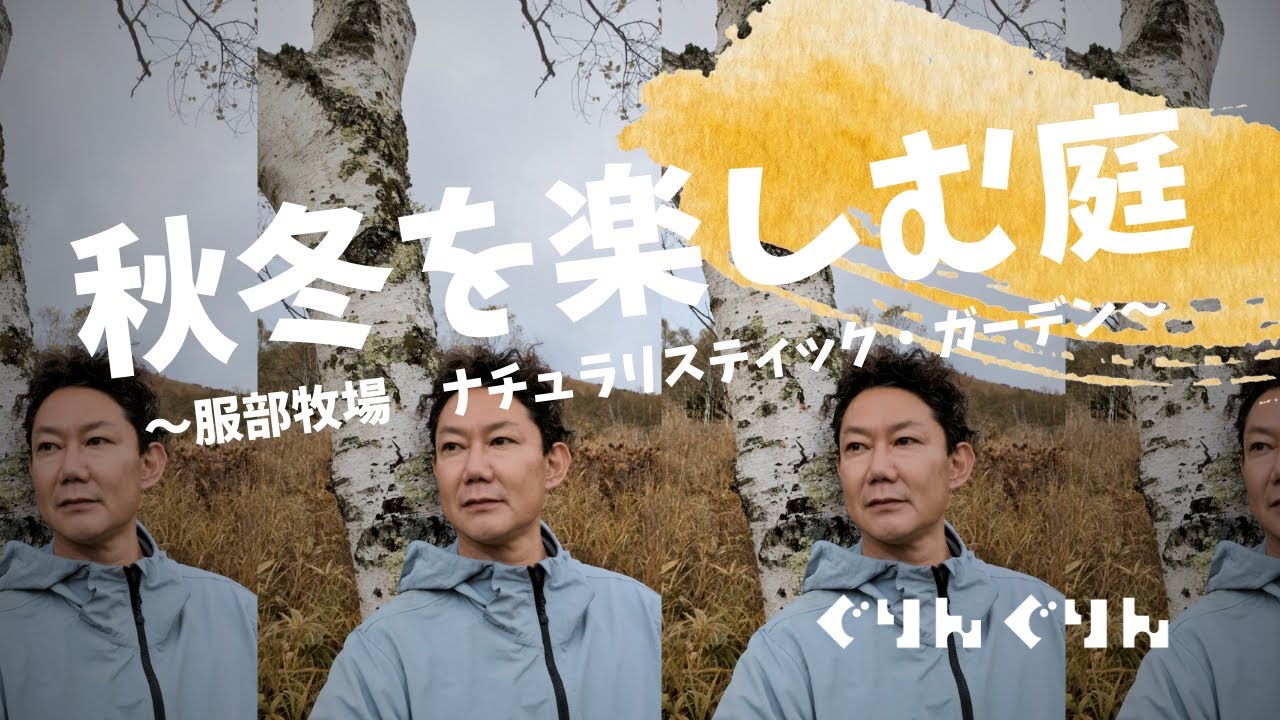 冬の庭を楽しむ方法【宿根草とシードヘッド】