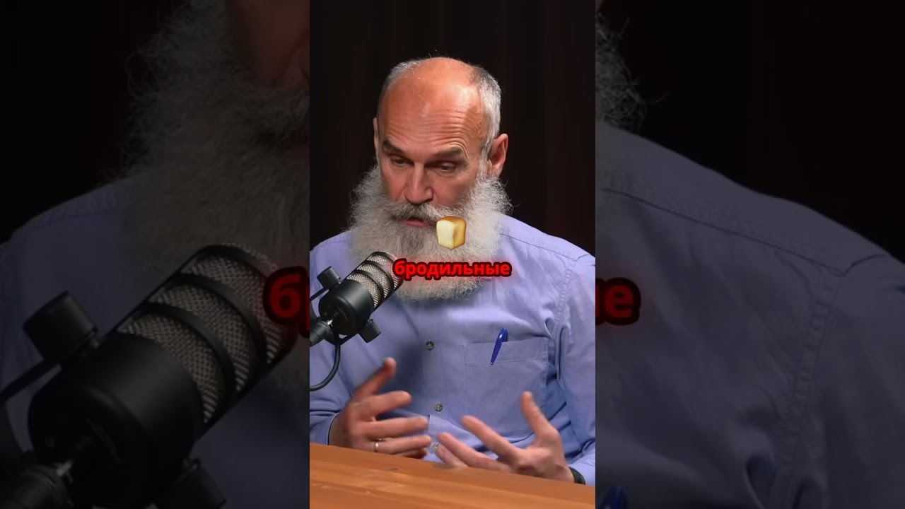 Как микрофлора влияет на продолжительность жизни? 🤔🌱