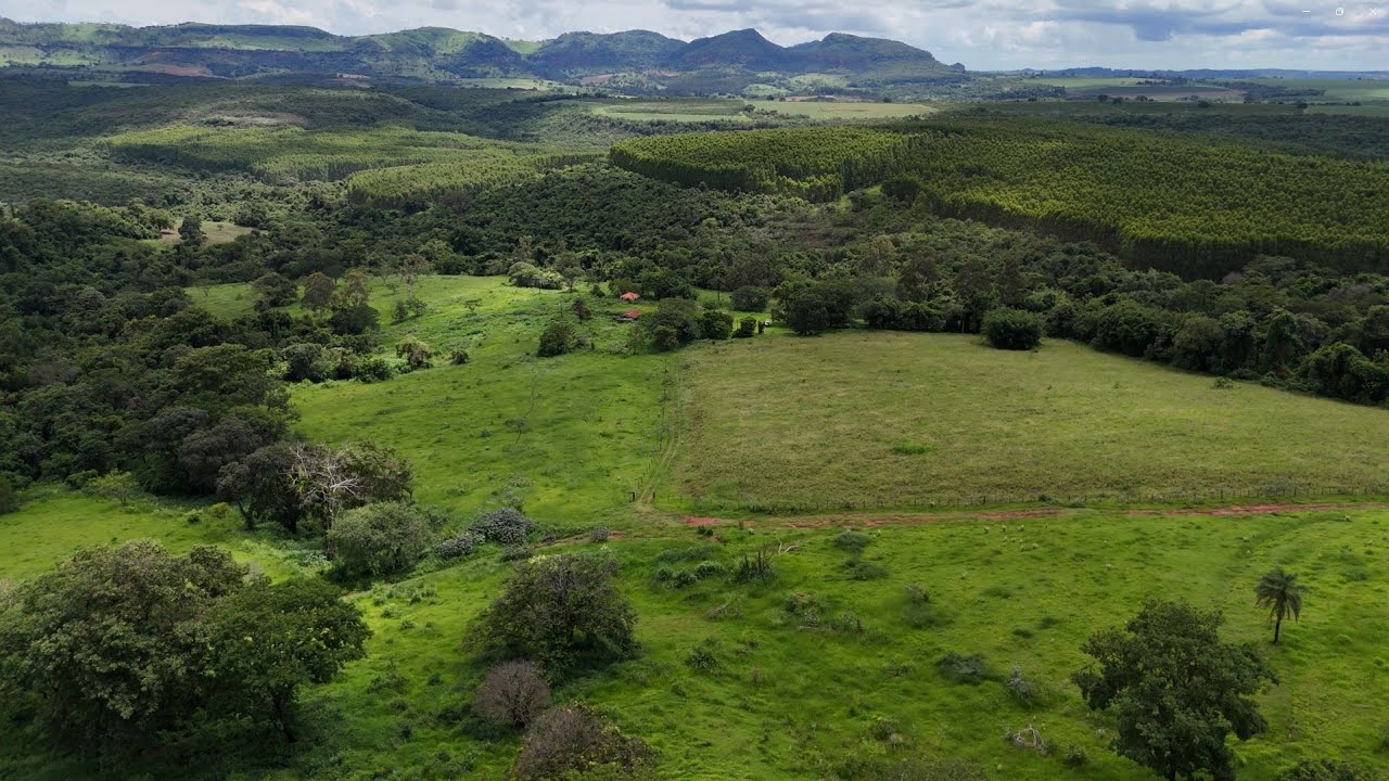 🌾 R$ 2.700.000 – SÍTIO COM 49,61 HECTARES PARA AGRICULTURA E PECUÁRIA – SANTO ANTÔNIO DA ALEGRIA/SP
