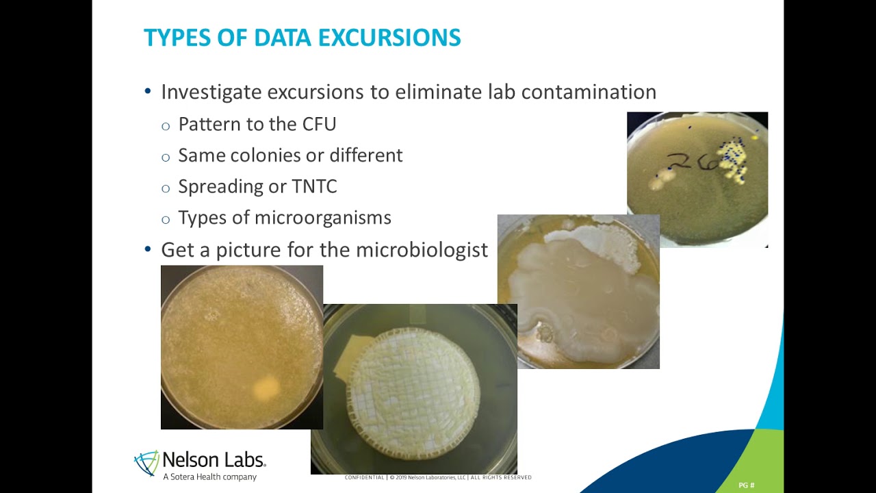 Microbiological Control in a Pharmaceutical Manufacturing Environment
