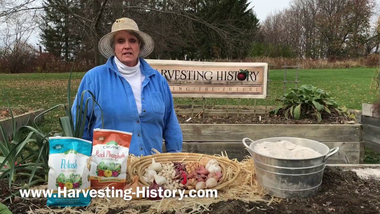 Planting Garlic, Shallots, Onions and Elephant Garlic