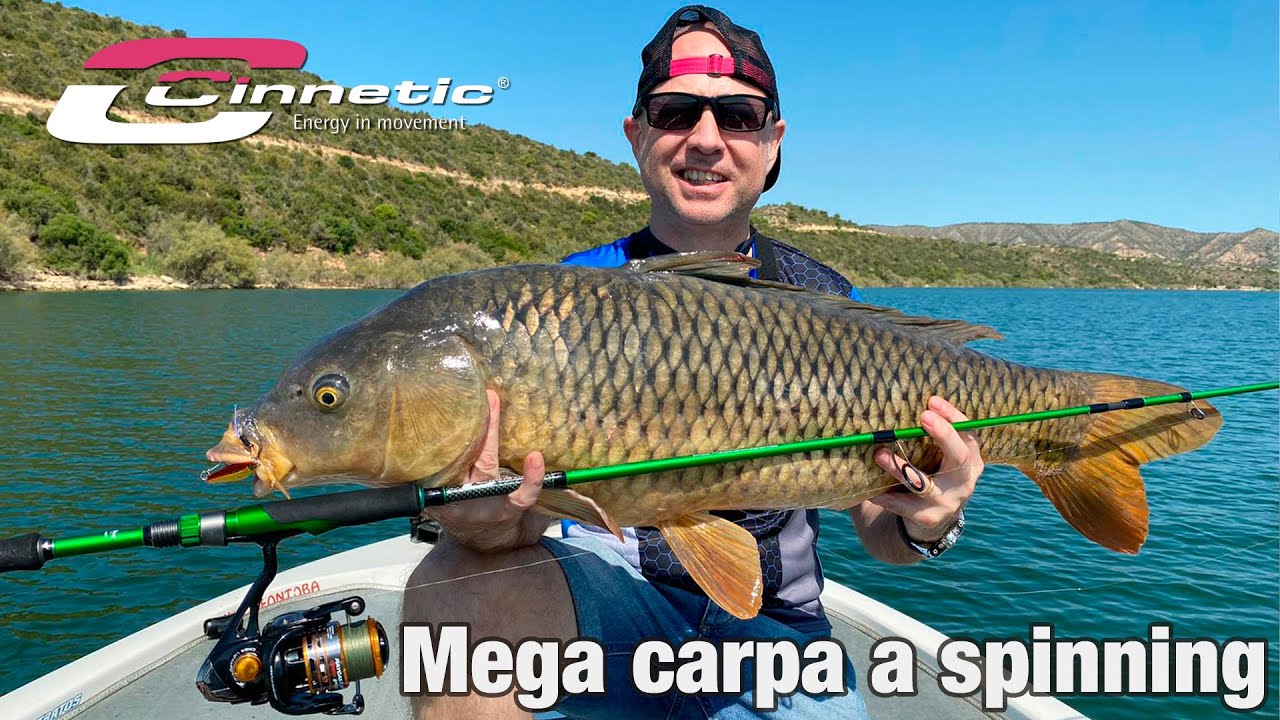 Mega carpa a spinning
