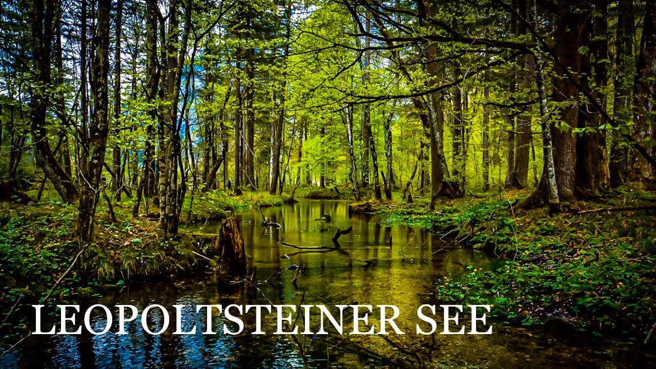 LEOPOLTSTEINER SEE 4K