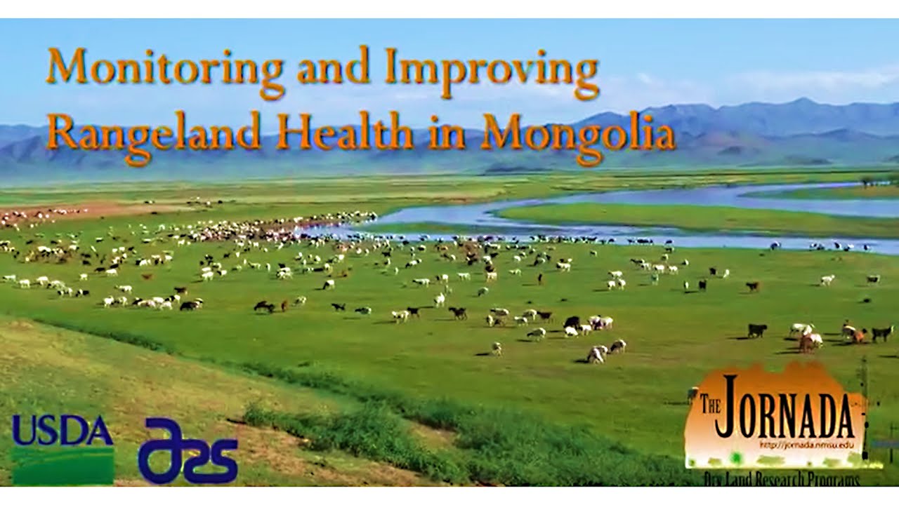 Rangeland Management in Mongolia
