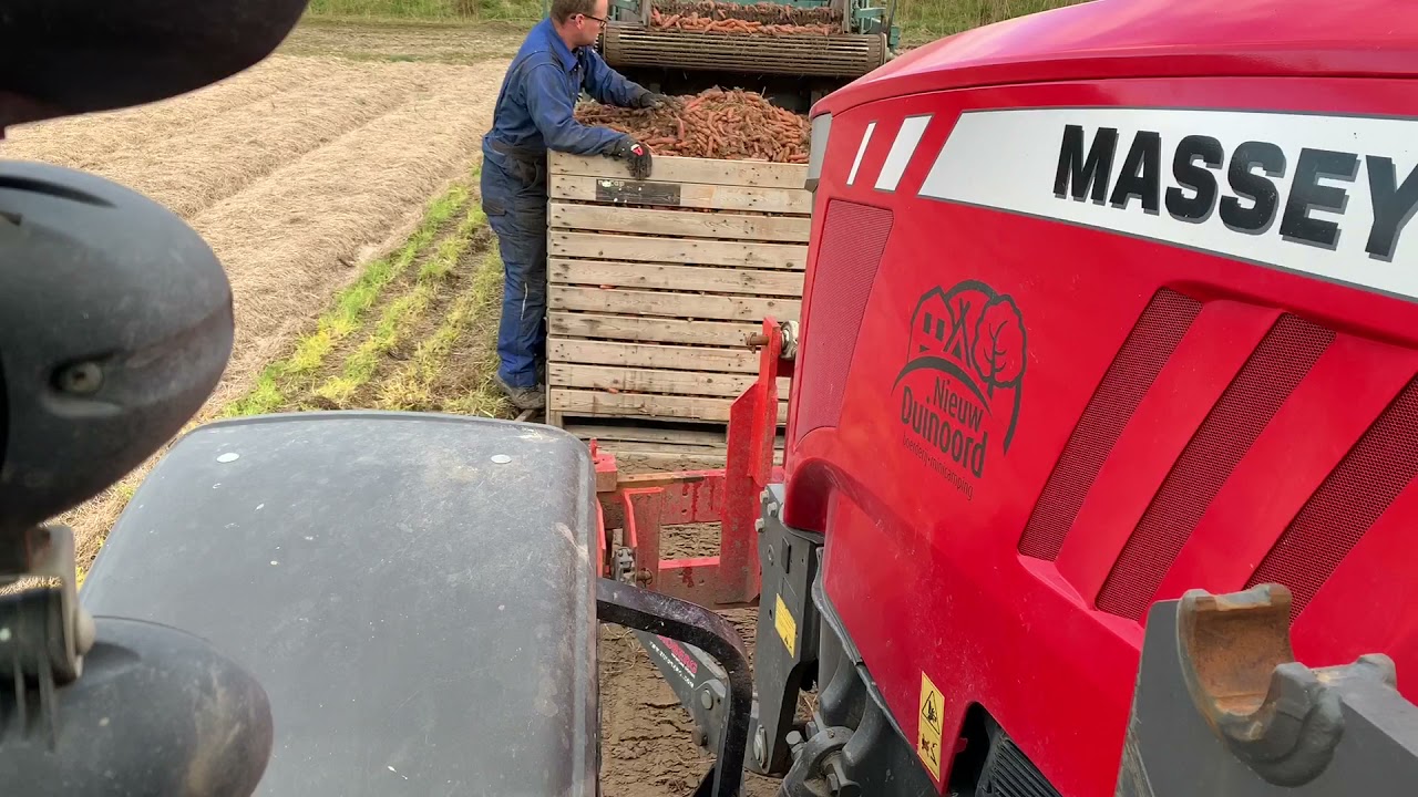 Een dag uit het leven van de boerenjongens van Texel #3 wortelsrooien🥕 en champost strooien 🧐