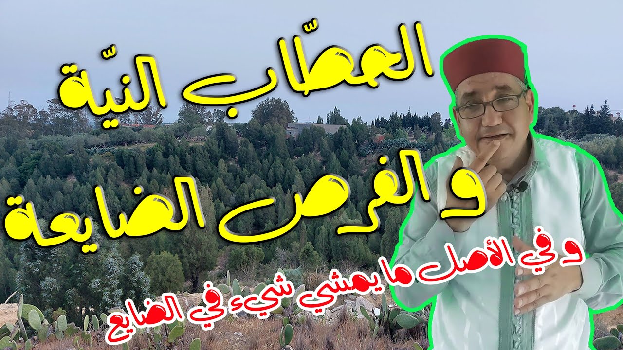 الحطاب النية و الفرص الضايعة، من حكاياتنا الشعبية وهي للكبار و الصغار، يحكيها لكم العم جلال