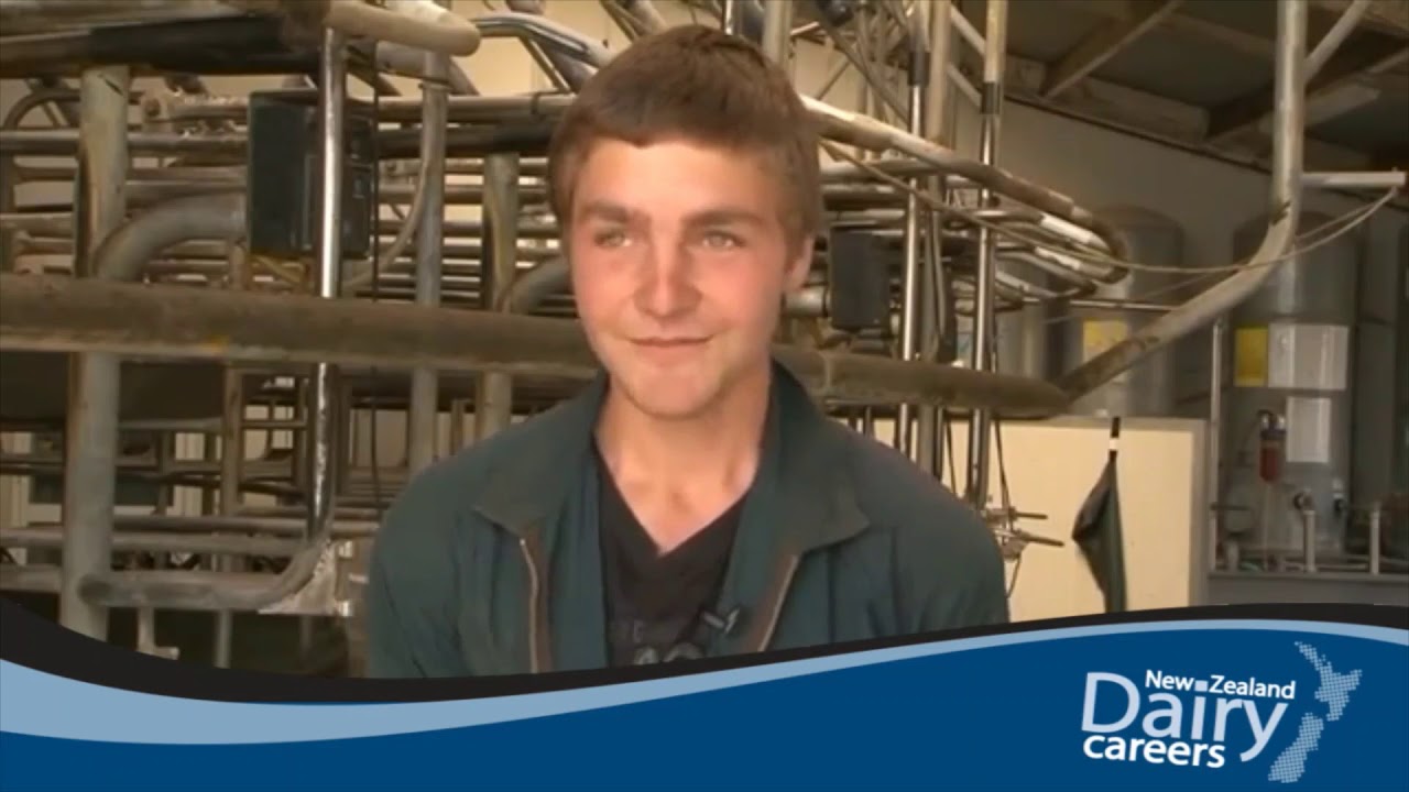 Gap Year in New Zealand - Long Version