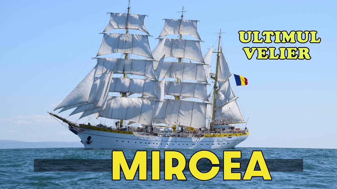 NAVA ȘCOALĂ MIRCEA