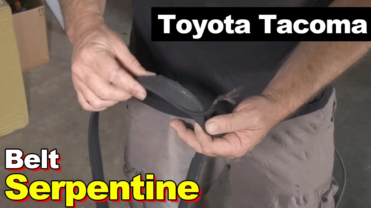 Ремень ГРМ Toyota Tacoma 2006 года выпуска