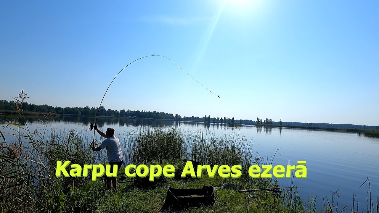 Karpu cope Arves ezerā