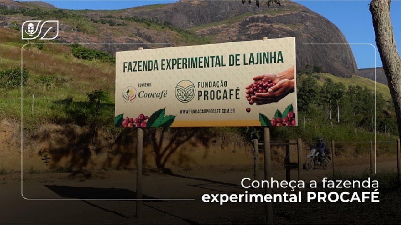 🎙️ CONEX&Atilde;O COOCAF&Eacute; | Podcast #13 - Conhe&ccedil;a a fazenda experimental PROCAF&Eacute;